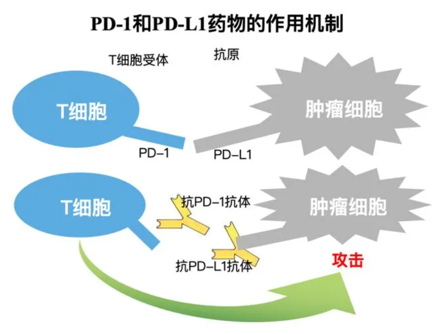 1734590297736920.png image.png