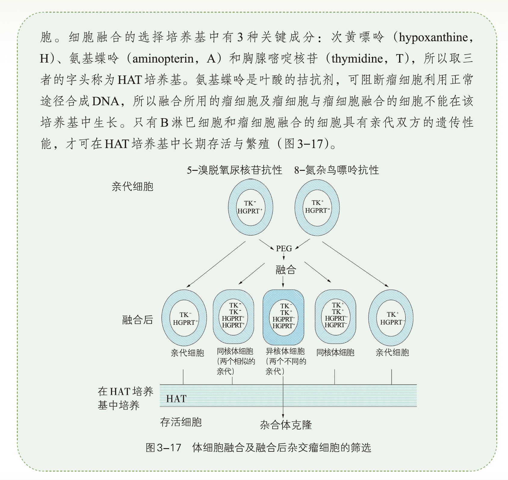 1740134111587252.png 微信图片_3.png
