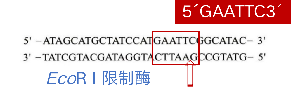 1745543392240697.png 1.png