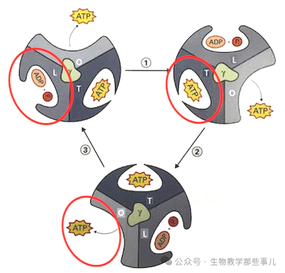 1747963547699754.png 2.png