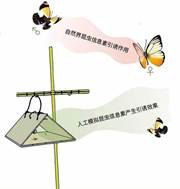 说明: IMG_259