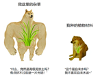 说明: IMG_271