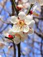 说明: IMG_258