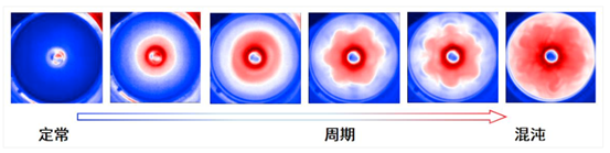 说明: IMG_266