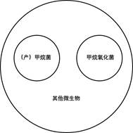 说明: IMG_258